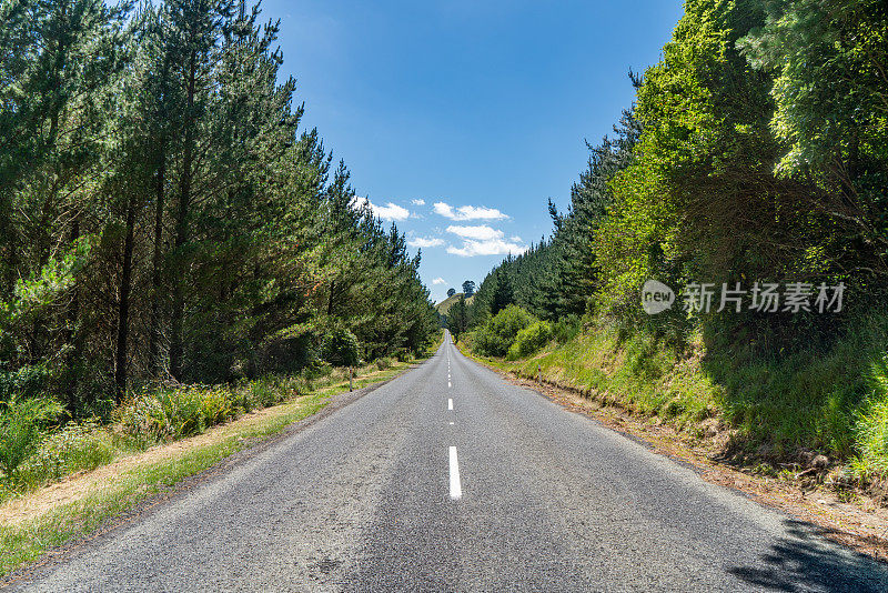 图图考路和热勘探Hwy或国家Hwy 5到Orakei Korako地热公园，新西兰